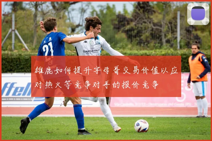 雄鹿如何提升字母哥交易价值以应对热火等竞争对手的报价竞争
