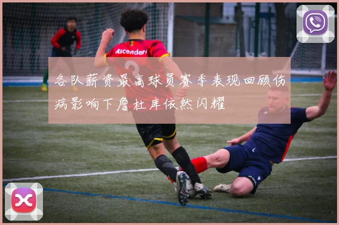 各队薪资最高球员赛季表现回顾伤病影响下詹杜库依然闪耀